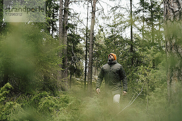 Reifer Mann schaut nach oben  während er inmitten von Bäumen im Wald erkundet