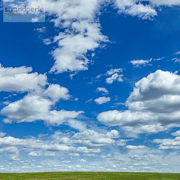 USA  Idaho  Bellevue  Flauschige Wolken am Himmel über einem Feld bei Sun Valley