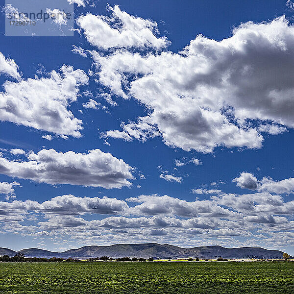 USA  Idaho  Bellevue  Flauschige Wolken am Himmel über einem Feld bei Sun Valley