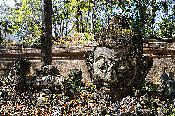 Kopf einer Buddha-Statue im Tempel von Umong in Chiang Mai