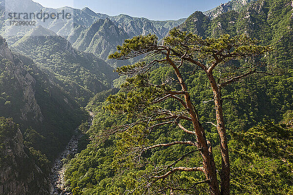 malerische Aussicht im Seoraksan-Nationalpark in Korea