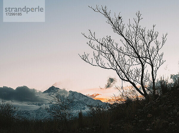 die Landschaft der Anden im Winter