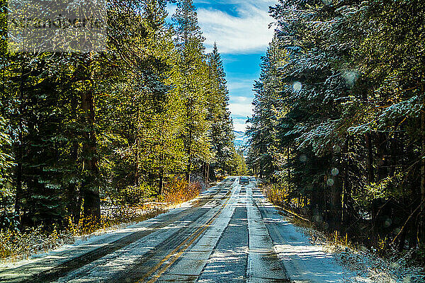 Ein langer Weg entlang der Straße des Yosemite-Nationalparks  Kalifornien