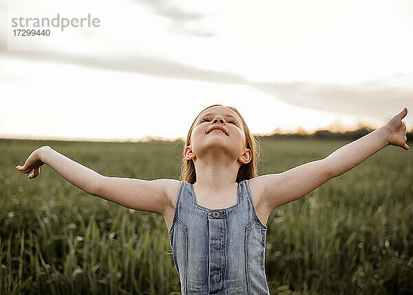 Glückliches 5 Jahre altes Mädchen in einem grünen Weizenfeld mit langen Haaren bei Sonnenuntergang