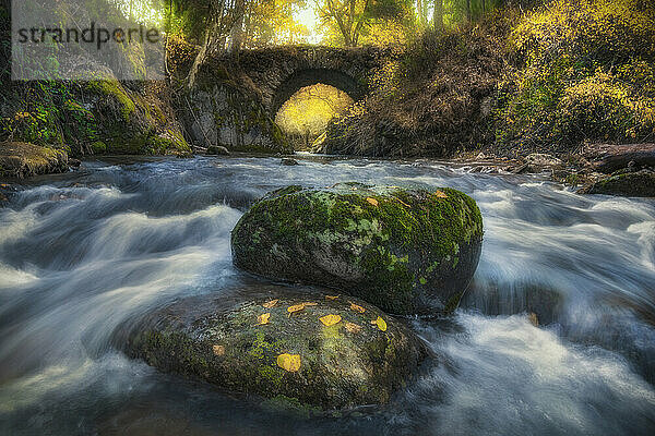 Der Fluss Lozoya unter einer alten Steinbrücke im Wald des Nationalparks Guadarrama