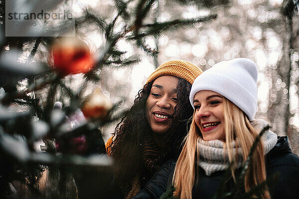 Glückliche Freundinnen beim Schmücken des Weihnachtsbaums im Freien