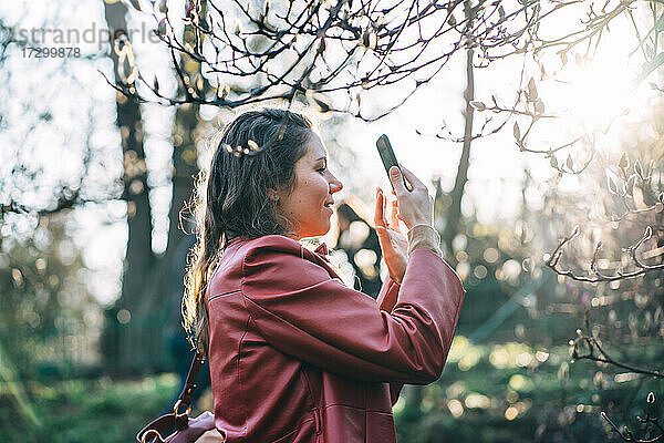 Mädchen fotografiert mit dem Handy einen blühenden Busch im Park