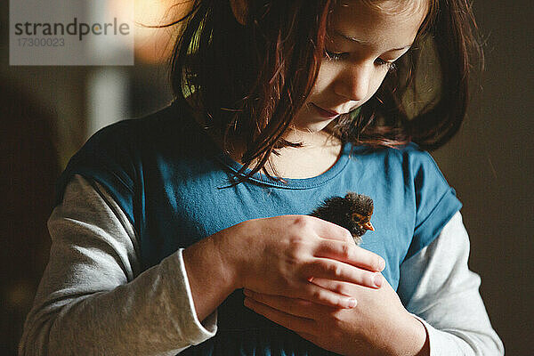 Ein kleines Mädchen hält sanft ein winziges Küken in den Händen