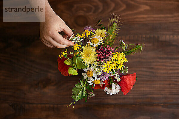 Draufsicht auf eine kleine Hand  die wilde Sommerblumen in eine Vase stellt