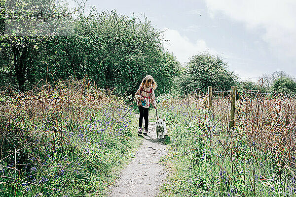 junges Mädchen  das mit ihrem Hund inmitten von Glockenblumen in der britischen Landschaft spazieren geht