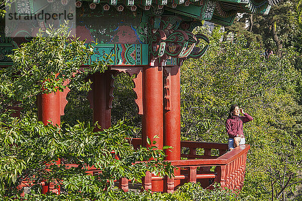 Pagode am Fluss Yongyeon in Jetju Si auf der Insel Jeju