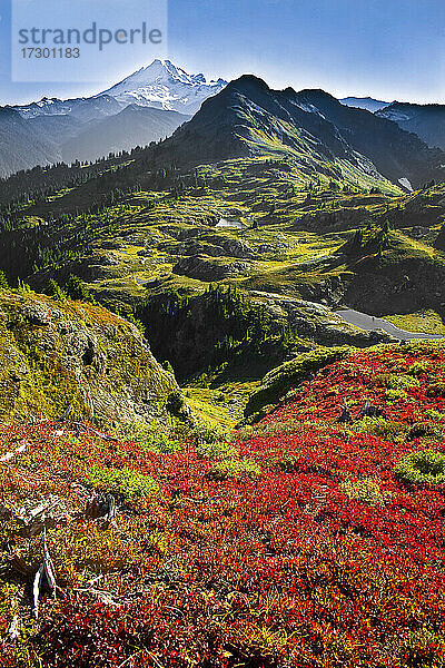 Üppige Bergwiese und Mount Baker-Landschaft  Washington  USA.
