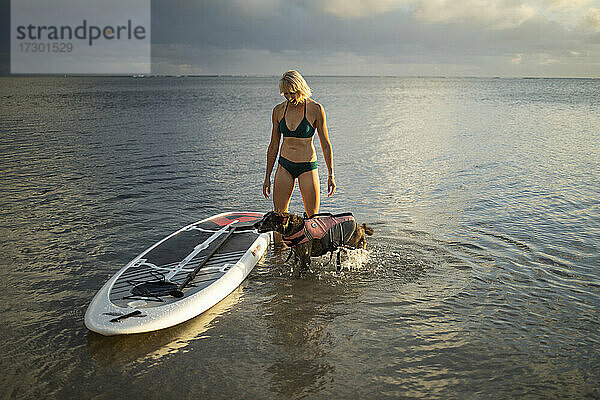 Frau steht neben Paddleboard mit Hund am Strand in Honolulu