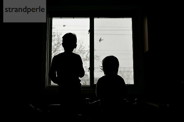 Zwei Kinder schauen aus ihrem Küchenfenster auf vorbeifliegende Vögel