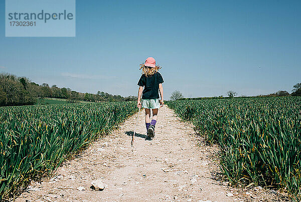 wildes Mädchen  das mit einem Stock zwischen zwei Grasfeldern in England spazieren geht