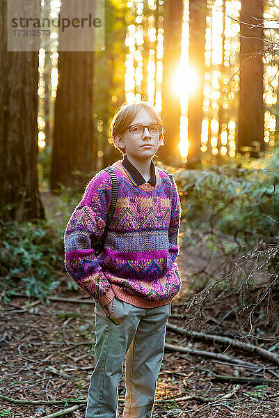 Porträt einer jungen Person im Wald bei untergehender Sonne