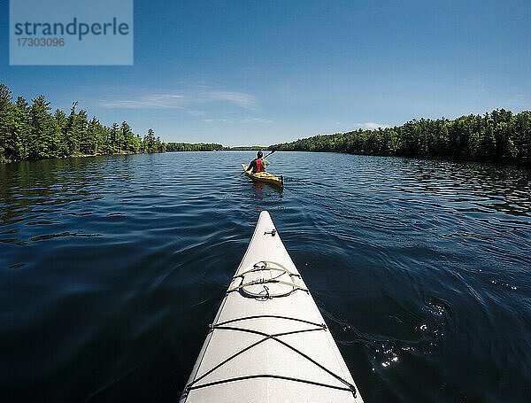 Zwei Kajaks werden an einem sonnigen Tag auf einem See in Ontario  Kanada  gepaddelt.
