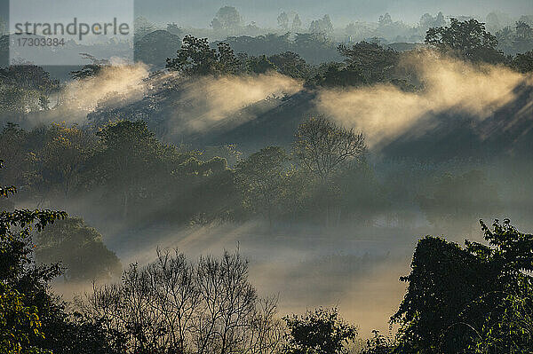 Licht scheint durch den Morgennebel im Goldenen Dreieck