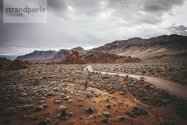 Ein orangefarbenes Auto steht auf einer Straße im Valley of Fire State Park