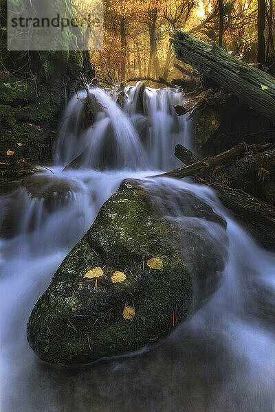 Wasserfall im herbstlichen Wald im Guadarrama-Nationalpark