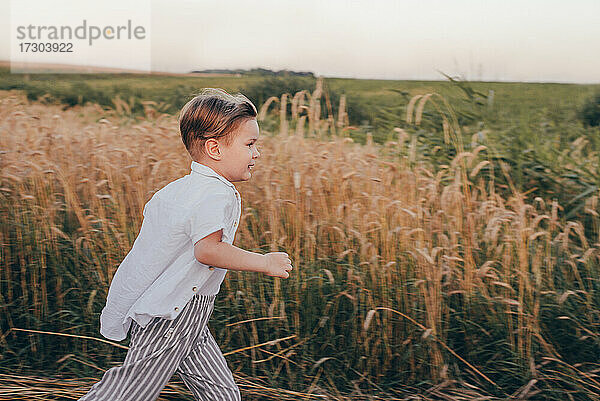Porträt eines glücklichen 5 Jahre kleinen niedlichen Jungen  trägt weißes Hemd läuft im Weizenfeld