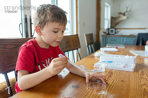 Junge macht wissenschaftliche Experimente zu Hause am Tisch