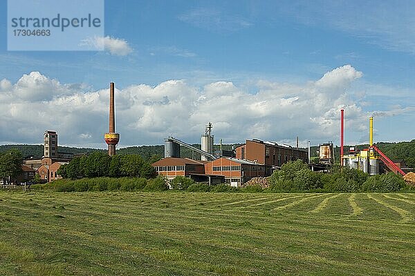 Holzkohleproduktion  proFagus GmbH  Bodenfelde  Landkreis Northeim  Niedersachsen  Deutschland  Europa