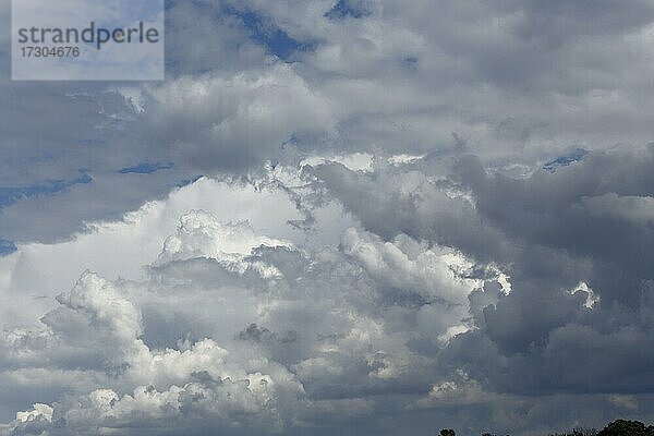 Gewitterwolken im Abendlicht  Provinz Quebec  Kanada  Nordamerika