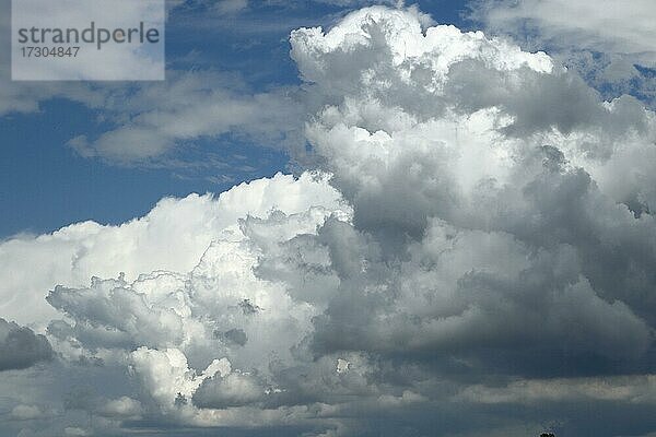 Gewitterwolken im Abendlicht  Provinz Quebec  Kanada  Nordamerika