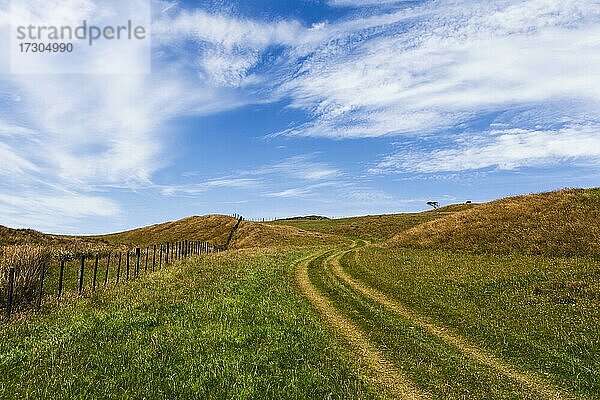 Landschaft  Cape Farewell  Golden Bay  Südinsel  Neuseeland  Ozeanien