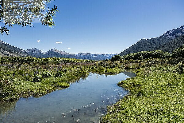 Landschaft  Arthur's Pass  Selwyn  Canterbury  Südinsel  Neuseeland  Ozeanien