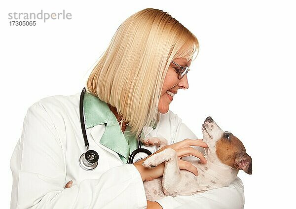 Attraktive weibliche Arzt Tierarzt mit kleinen Welpen vor einem weißen Hintergrund