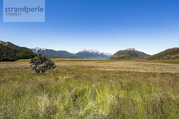 Landschaft  Arthur's Pass  Selwyn  Canterbury  Südinsel  Neuseeland  Ozeanien