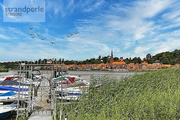 Blick vom Hafen auf Lauenburg und die Elbe  Hohnstorf  Lüneburg  Elbtalaue  Niedersachsen  Deutschland  Europa