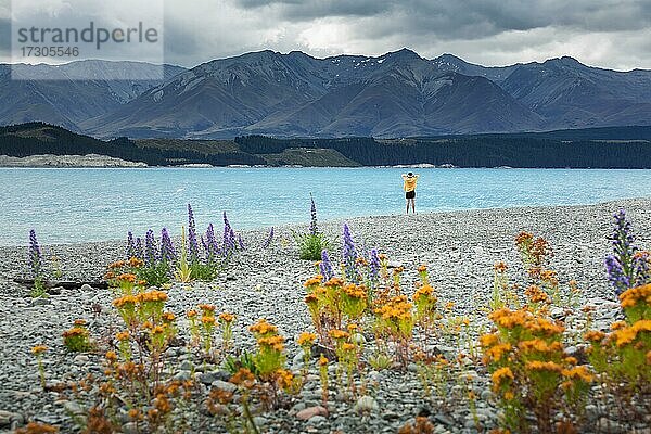 Kerl an einem Strand am Lake Tekapo  Region Canterbury  Mackenzie District  Südinsel  Neuseeland  Ozeanien