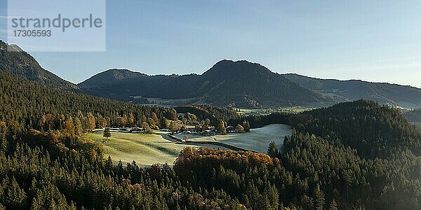Luftaufnahme  Lichtung und Wald von Oben  Berchtesgaden  Bayern  Deutschland  Europa