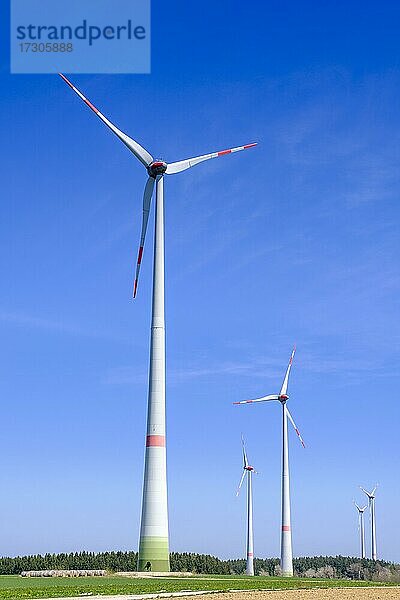 Windpark  Windräder bei Denkendorf  Altmühltal  Oberbayern  Bayern  Deutschland  Europa