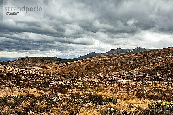 Landschaft  South West New Zealand World Heritage Area  Te W?hipounamu  Fiordland National Park  Südinsel  Neuseeland  Ozeanien