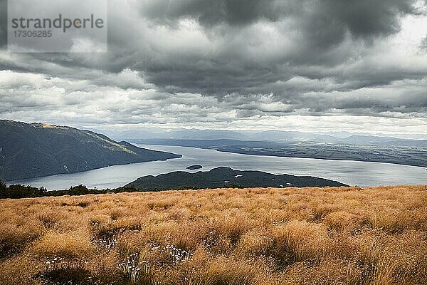 Landschaft  Lake Te Anau  South West New Zealand World Heritage Area  Te W?hipounamu  Fiordland National Park  Südinsel  Neuseeland  Ozeanien