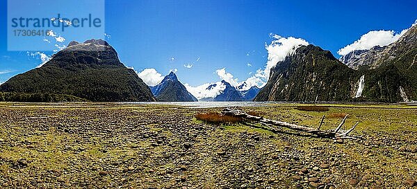 Landschaft  Milford Sound  Milford Sound Gebiet  Fiordland National Park  Fiordland  Südinsel  Neuseeland  Ozeanien