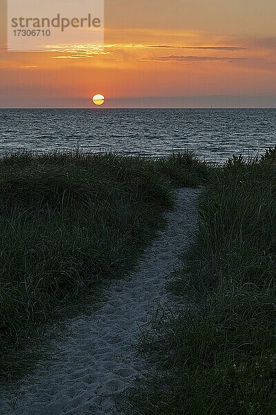 Sonnenuntergang  Großenbrode Weststrand  Schleswig-Holstein  Deutschland  Europa