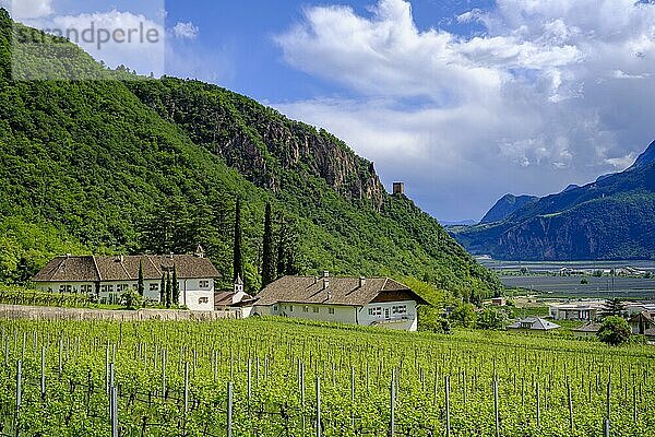 Terlan  Burggrafenamt  Südtirol  Italien  Europa