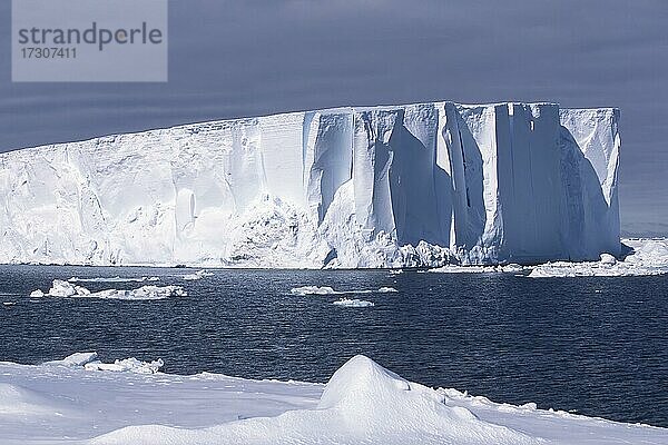 Eisberge am Riiser-Larsen-Schelfeis  Queen Maud Land Küste  Weddellmeer  Antarktis  Antarktika