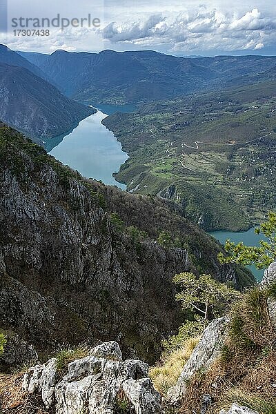 Aussichtspunkt Vidikovac Banjska stena  Tara National Park  Serbien  Europa