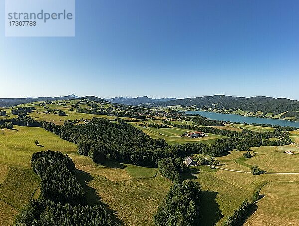 Drohnenaufnahme  Agrarlandschaft  Zell am Moos am Irrsee  Salzkammergut  Oberösterreich  Österreich  Europa