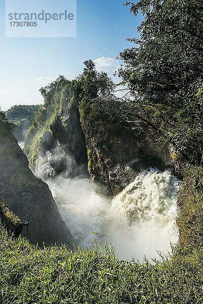 Murchison Falls  auch bekannt als Kabarega Falls am Nil  Murchison Falls National Park  Uganda  Afrika