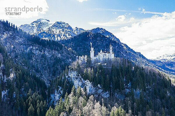 Luftaufnahme von Schloss Neuschwanstein  vor den Alpen  Schwangau Bayern  Deutschland  Europa