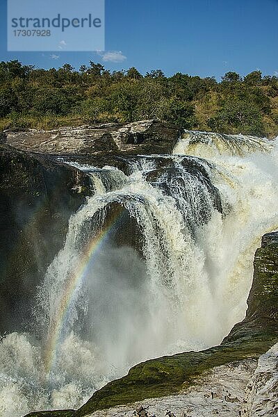 Murchison Falls  auch bekannt als Kabarega Falls am Nil  Murchison Falls National Park  Uganda  Afrika