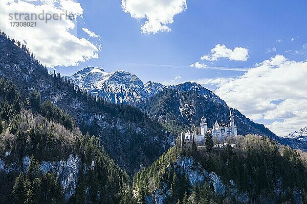 Luftaufnahme von Schloss Neuschwanstein  vor den Alpen  Schwangau Bayern  Deutschland  Europa