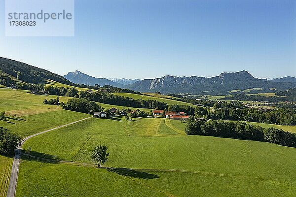 Drohnenaufnahme  Agrarlandschaft im Mondseeland  Salzkammergut  Oberösterreich  Österreich  Europa